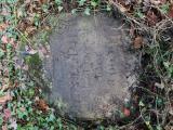 image of grave number 806412